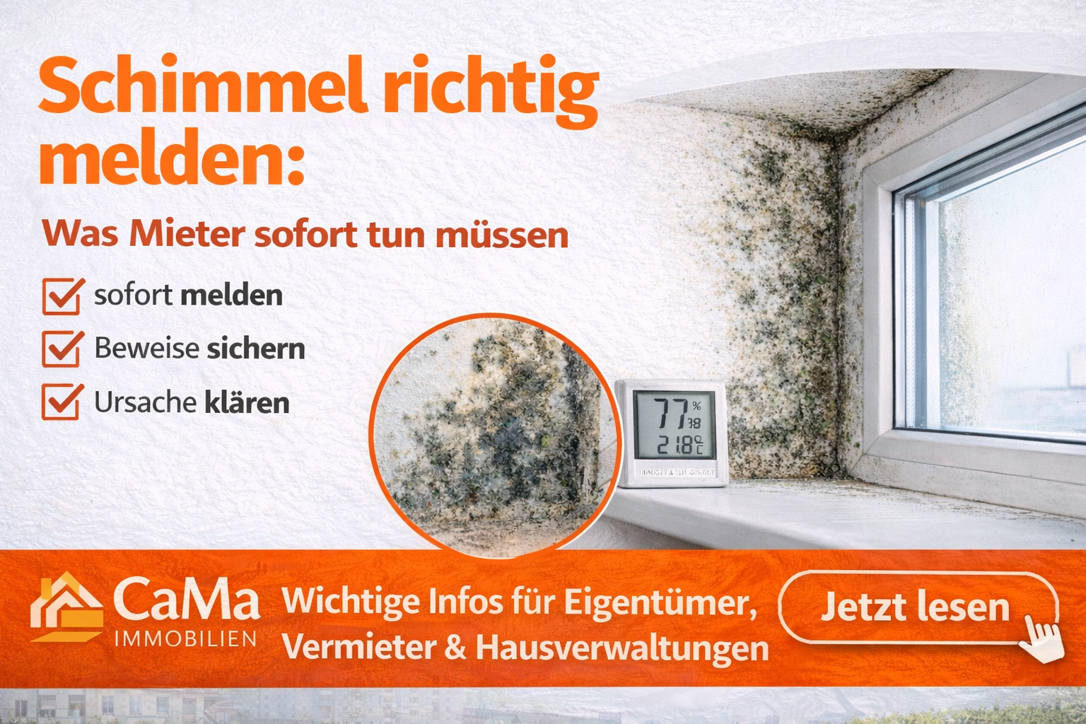 Schimmel richtig melden: Was Mieter tun sollten